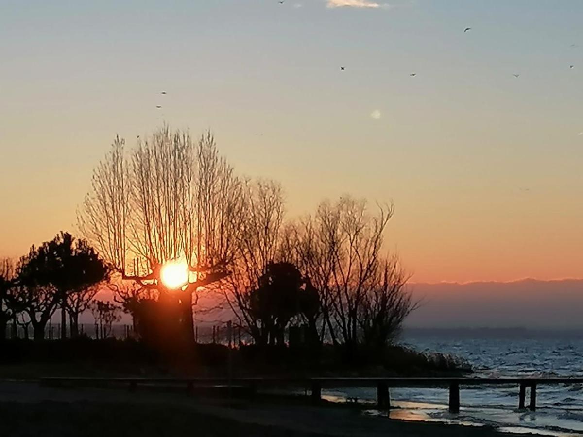 Villa La Magnolia - Private Beach Access, Garden, Views Lazise Exterior foto